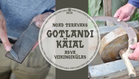 Gotlandi käia päev Asva viikingikülas
