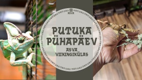 Putuka pühapäev