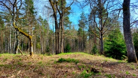 Lastelinn