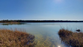 Aasta järv