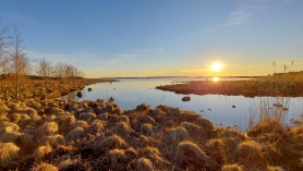 päikeseloojang